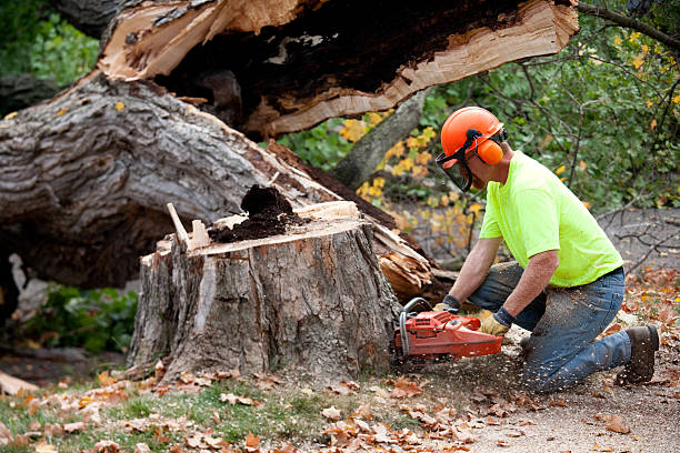 Mulching Services in Crescent, OK